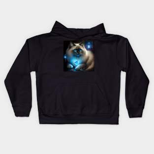 Magical  Ragdoll Cat Kids Hoodie